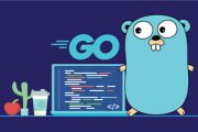 GOLANG: СПІЙМАЙ СВОЮ ПТАШКУ